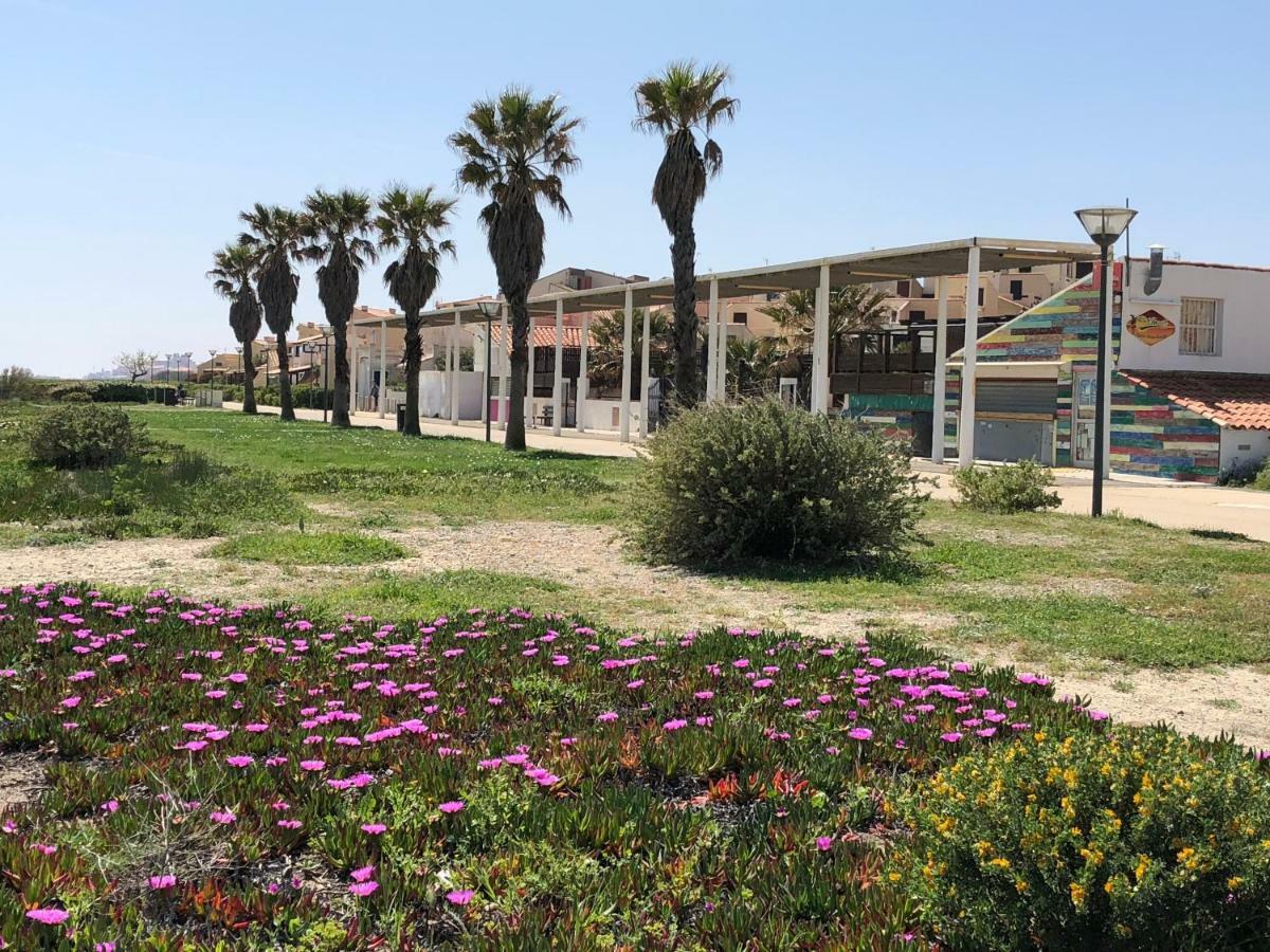 Barcaresa-Maisonnette Vue Mer Pieds Dans L'Eau Wifi Leucate Eksteriør bilde