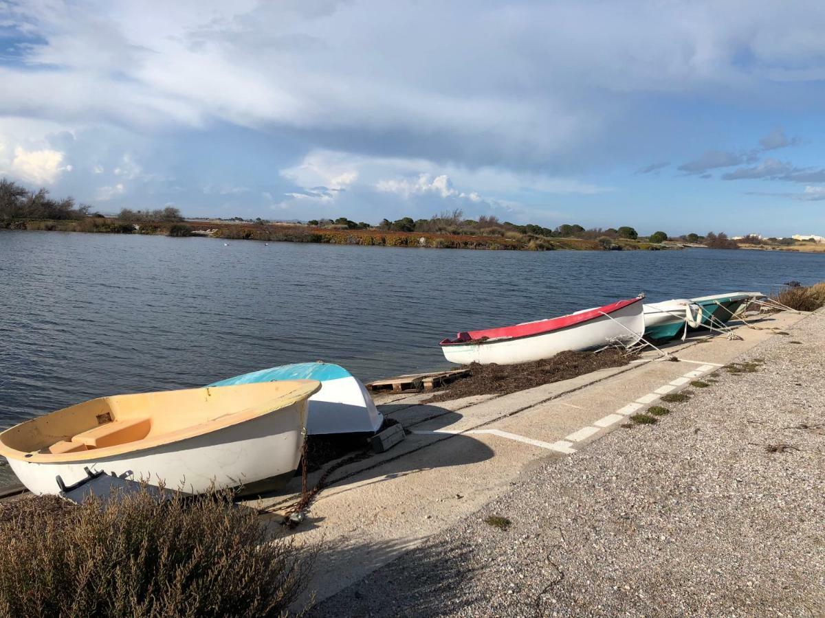 Barcaresa-Maisonnette Vue Mer Pieds Dans L'Eau Wifi Leucate Eksteriør bilde